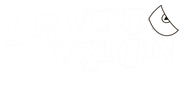 LRVTD VZION Ltd
